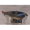 Цикада Bass Pro Shops XPS Lazer Blade 3/4oz 65mm 21g