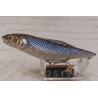 Воблер Ken Craft Ken Craft Lineage Quiet 100mm 14g