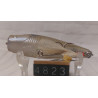 Воблер EVERGREEN COMBAT POPPER 65F 9g
