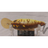 Воблер Zipbaits B-Switcher 2.0 Rattler 55mm 10.1g 1.5-2m