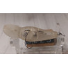 Воблер Daiwa Petit Peanut DR 40F 4g 1-1.5m