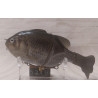 Воблер IMAKATSU GILL ROID JR. 120F 45g