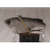 Воблер Shimano Bantam Rattlin Sur-Vibe 62mm 14.0g