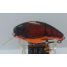 Воблер Raid Level Crank Goriller 66mm 17.5g (1.5-2.0m)