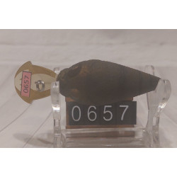 Воблер Megabass MR-X Griffon 45mm 7.3g 1.5m