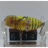 Воблер TIEMCO TRICK TROUT CICADA  40F 5g