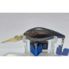 Воблер Lucky Craft Moonsault CB-350 62mm 14.6g 2.4-3.6m