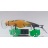 Воблер Megabass XJ-100 100mm 14.2g 0.1-0.5m
