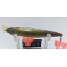 Воблер Megabass X-80SP Trick Darter 80mm 9.8g 1-1.5m