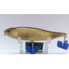 Воблер Megabass Giant Dog-X 98F 14.2g