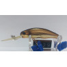 Воблер Ever Green CC PREDATOR 60SP 7.5g 2-3m