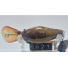 Воблер Ever Green WILD HUNCH MR 56F 9.6g 1.5-2m