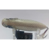 Воблер Megabass Pop Max 78mm 14g