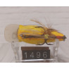 Воблер LUCKY CRAFT MINI SAP SR 55F 13.8g 0.3-0.9m