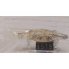 Воблер Lucky Craft Moonsault CB-350 62mm 14.6g 2.4-3.6m